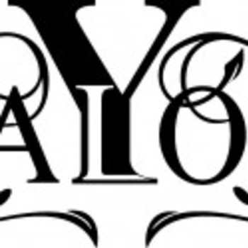 SALON Y