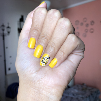 vazianails