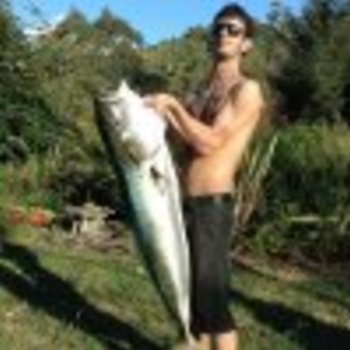Josh Pfaff