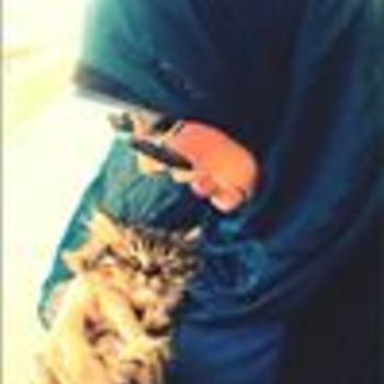 Alaa Ayman