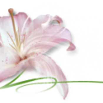 hwabeautyboutique