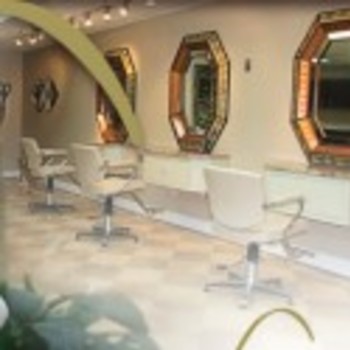 lofty salon