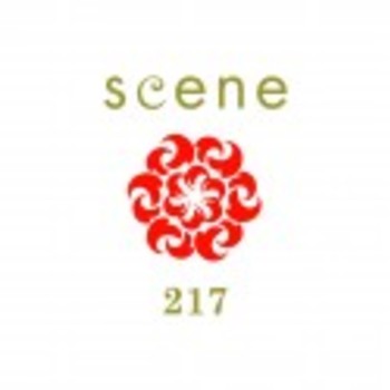 scene 217 salon