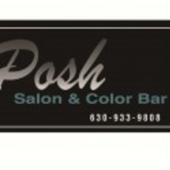 POSH SALON AND COLOR BAR