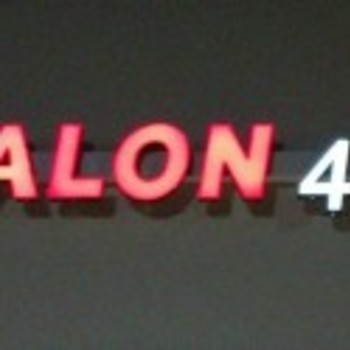 Salon 411