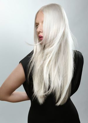 Widget 300 0305b4d08bd446690a6e wellapro blog 2026 blondorplexrestage image4
